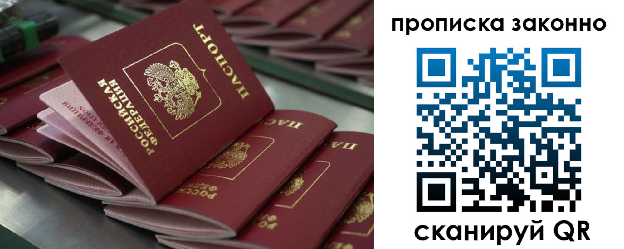 миграционный учет в Полярных Зорях